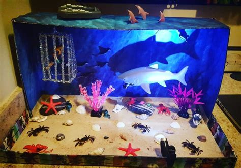 Image result for shark diorama images | Ocean projects, Habitats projects, Kids art projects