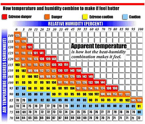 Temp And Humidity Chart