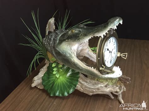 Alligator Taxidermy | AfricaHunting.com