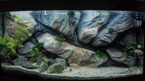 Massive Rocks 3D Aquarium Backgrounds - Aquadecor | Aquarium, Aquarium backgrounds, Fish tank