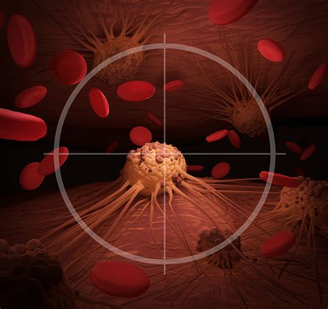 Molecular probes: a favourable tactic for the diagnosis and treatment of cancer