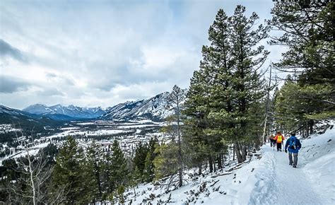 Tunnel Mountain: Banff's Must Do Hike - Hike Bike Travel