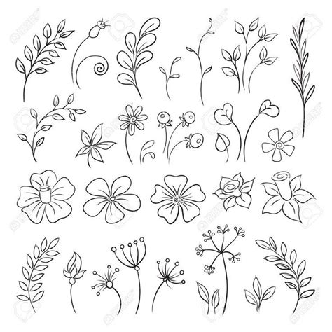 various flowers and leaves drawn in black ink on white paper, each with one line drawing