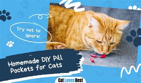 Homemade DIY Pill Pockets for Cats