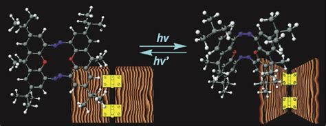 Modeling of Azobenzene-Based Compounds