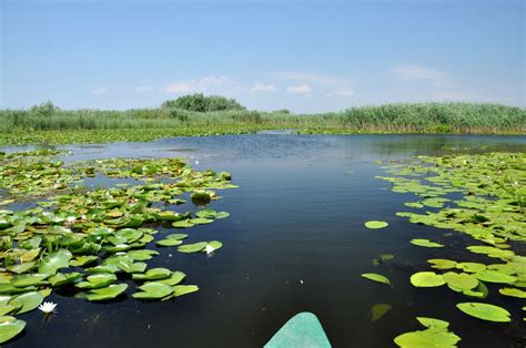 What Is the Best Time to Visit the Danube Delta in Romania: Ultimate Guide