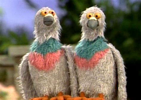 Pigeons | Muppet Wiki | FANDOM powered by Wikia