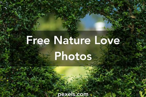 1000+ Beautiful Nature Love Photos · Pexels · Free Stock Photos