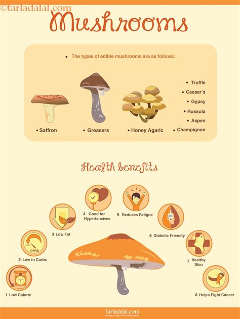 8 Super Health Benefits of Mushroom + Healthy Recipes, Tarla Dalal