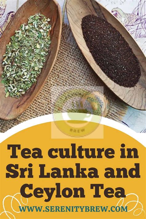 Tea culture in Sri Lanka and Ceylon Tea - Serenity Brew