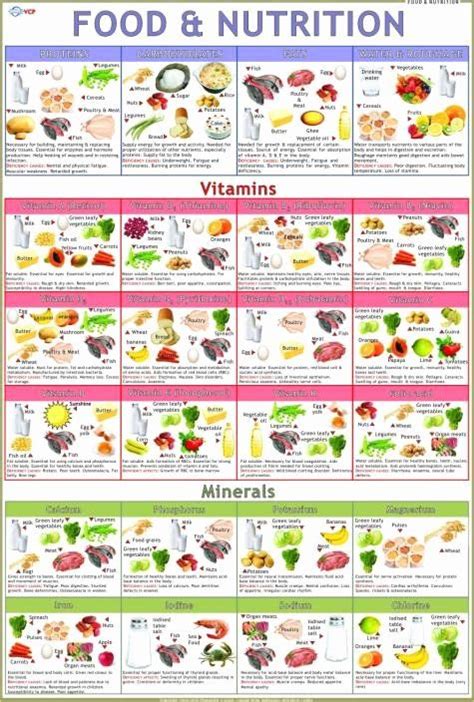 Food and Calories Chart Fresh Food & Nutrition Chart Paper Print Educational Posters in 2020 ...