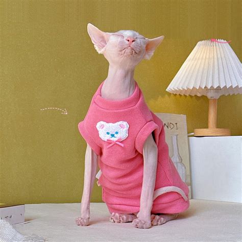 Personalized Sphynx Cat Clothes Sphynx Cat Sweaters Sleeveless Sphynx Sweater Hairless Cat ...