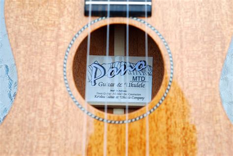 Pono MTD-E Tenor Ukulele REVIEW