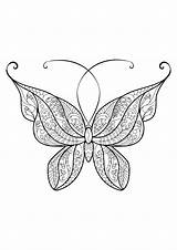 Butterfly Beautiful patterns  14 Butterflies & Insects Coloring sketch template