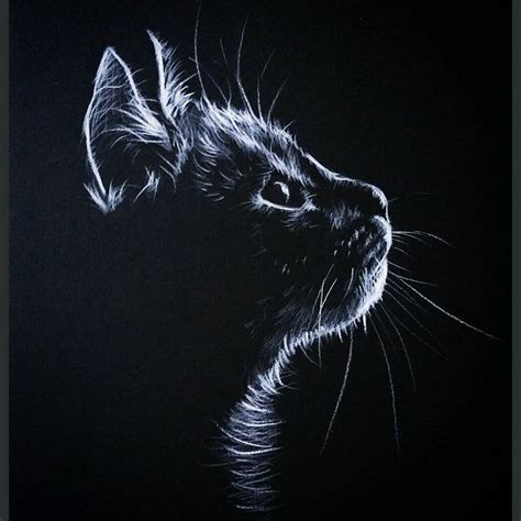 Výsledek obrázku pro white pencil on black paper draw | Black paper drawing, Drawing on black ...