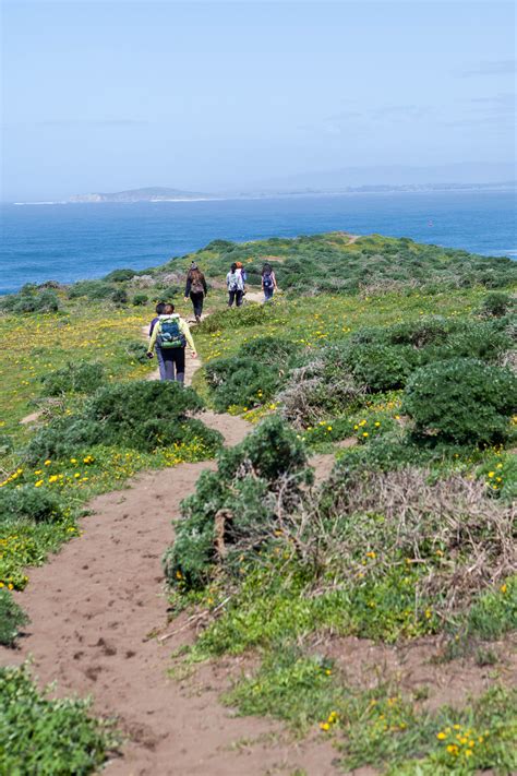 several people walking on a path near the ocean with wildflowers and ...