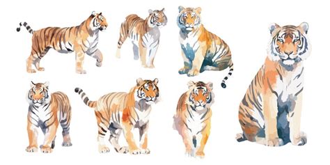 Tiger Print Watercolor Images – Browse 28,204 Stock Photos, Vectors ...