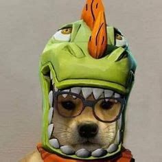 Pin by ... .. on Dogwifhat | Dog with hat, Cute baby dogs, Dog images