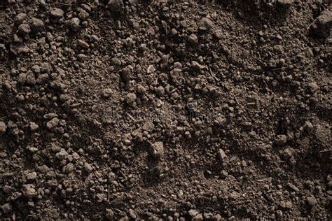 Fertile Loam Soil Suitable for Planting, Soil Texture Background Stock Image - Image of loam ...