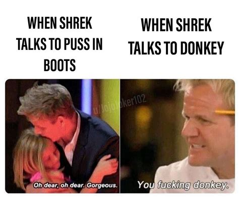 DONKEY!! | r/memes | Gordon Ramsay | Know Your Meme