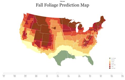 Fall Foliage Map 2024 North Carolina - Pia Leeann