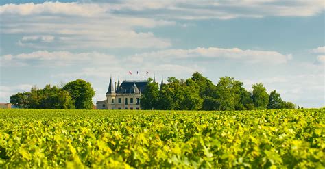 AI Correctly Identifies Bordeaux Wine Chateaus, But Does This Prove Terroir Is Real? | VinePair