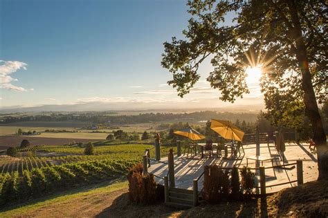 Best Eola-Amity Hills Wineries | WineryHunt Oregon