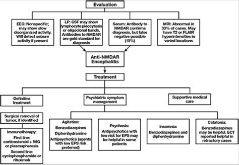 emDOCs.net – Emergency Medicine EducationAnti-NMDA Receptor Encephalitis: Highlights in Adult ...