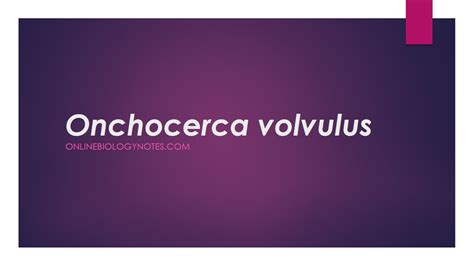 Onchocerca volvulus: habitat, morphology, life cycle, pathogenesis ...