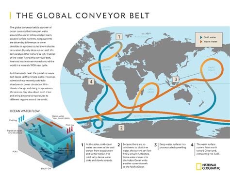 Explore this infographic to help students understand how the global conveyor belt transports ...