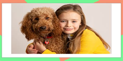 Christmas gift review 2019: Waffle the Wonder Dog ...