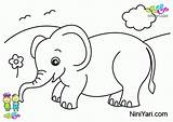 دانلود برگه رنگ آمیزی حیوانات برای کودکان  نی یاری sketch template