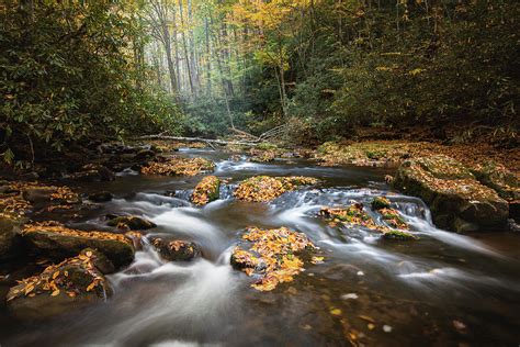 Autumn Forest Stream Photograph by Scott Slone - Pixels