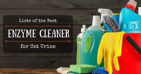 Pin by Getcleaningdone on ANIMAL INSTINCT | Cat urine, Enzyme cleaner, Enzymes