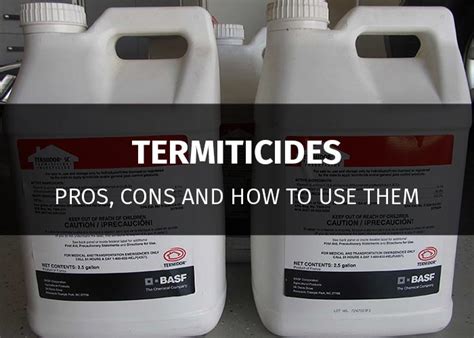 8 Best Termiticides: Liquid, Foam, & Spray for Termite Control