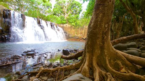 Visite Parque Nacional Black River Gorges em Ilhas Maurício | Expedia.com.br