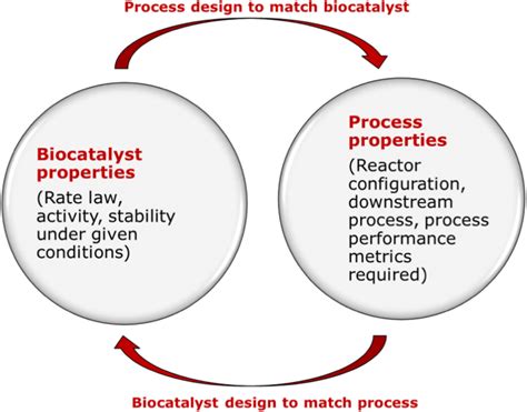 The new design paradigm by designing the biocatalyst to match the... | Download Scientific Diagram