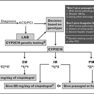 List of Some CYP2C19 Substrates | Download Table