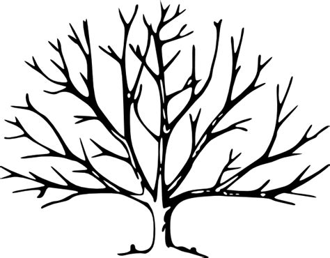 Tree Trunk Template - ClipArt Best