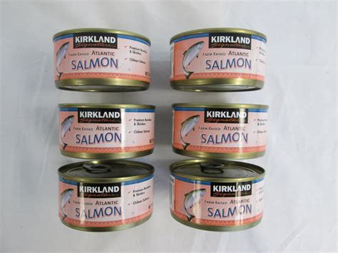 Amazon.com: FARM RAISED PREMIUM ATLANTIC SALMON -6 PACK OF 42 OZ COS ...