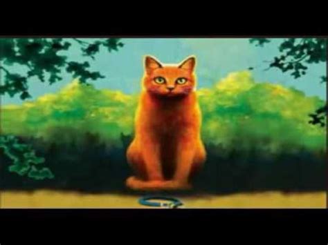 Warrior Cats Movie Trailer 2019 - bookslightyourfire