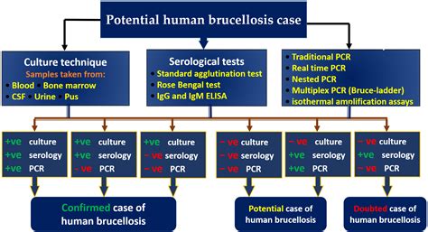 Vaccines | Free Full-Text | The Development of Diagnostic and Vaccine Strategies for Early ...