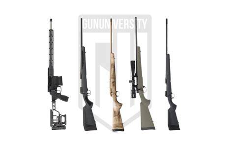 7 Best Hunting Rifles of 2024: What Setup is Right for You?