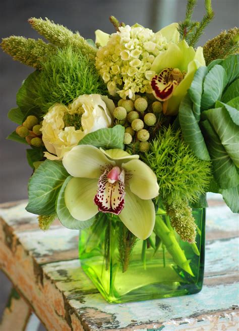 monochromatic green flowers, kale flowers, green cymbidium orchids ...