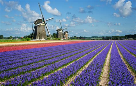 It's windmill weekend: 10 things you should know about Dutch windmills ...