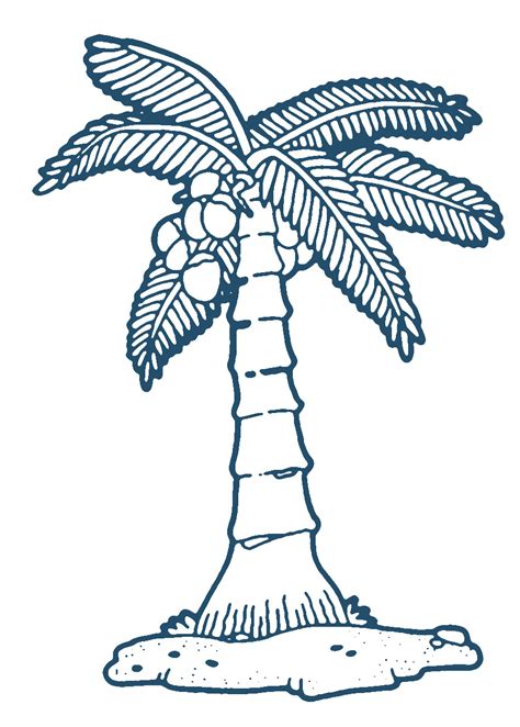 Coconut Tree Clipart Black And White