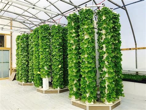 Pin by Niels Buiten on unique gardening | Hydroponic gardening system, Aeroponics, Indoor farming