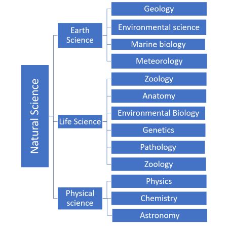 difference between social science and natural science with examples