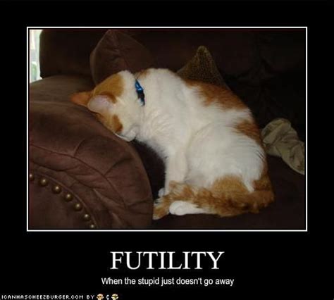 Futility | stuff I like | Pinterest