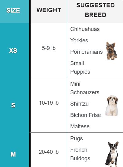 Bichon Frise Size Chart